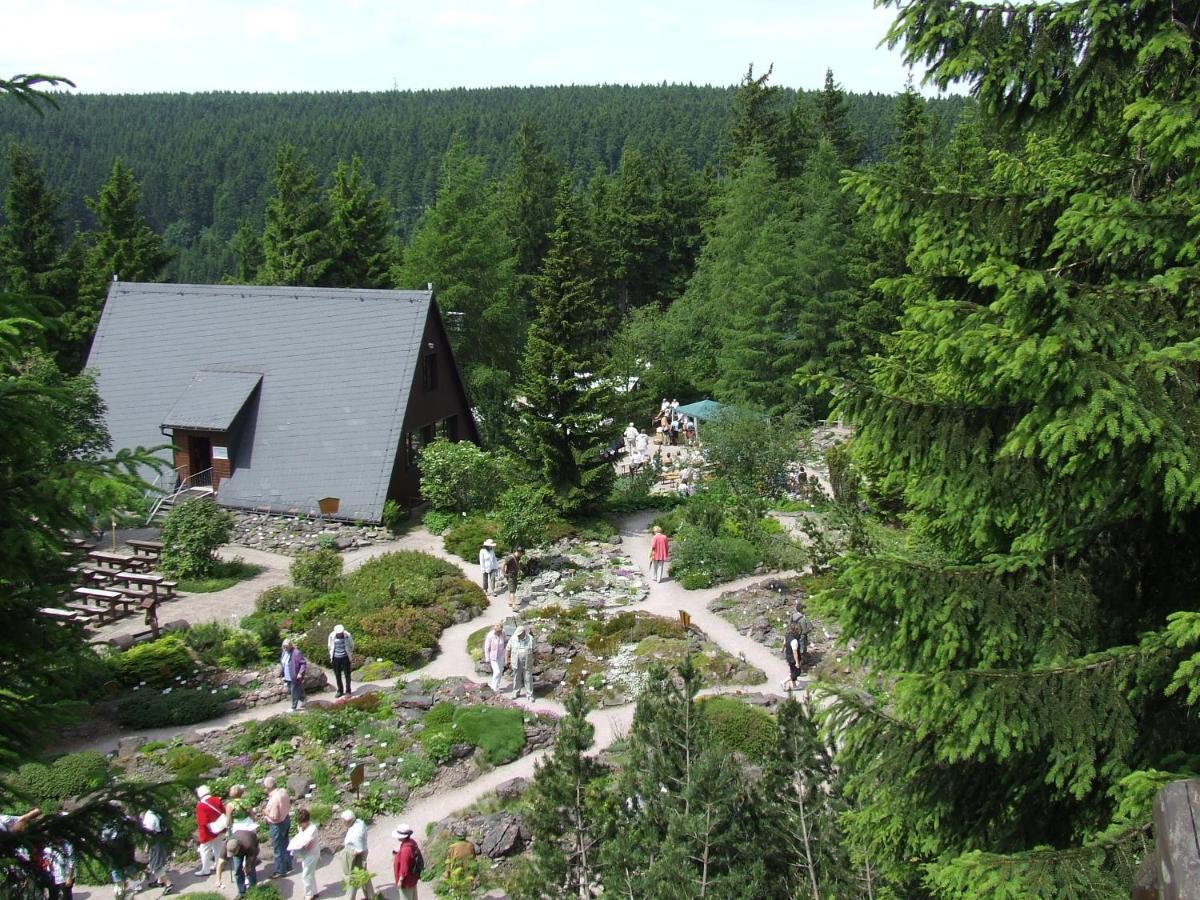 Konsum Gaestehaus Quisisana - Oberhof 奥伯霍夫 外观 照片
